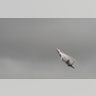 F 22 Raptor