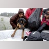 A dog is rescued from the flood waters of Tropical Storm Harvey in Beaumont Place, Texas, Monday