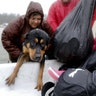 A dog is rescued from the flood waters of Tropical Storm Harvey in Beaumont Place, Texas, Monday