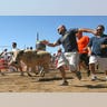 Running_of_the_Bulls_1
