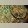20. Rusted Old Coin