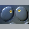 16. Snail Eggs