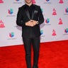 2015_Latin_Grammys___Arrivals__erika_garcia_foxnewslatino_com_15