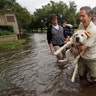 A man is evacuated by boat with his dog from the Hurricane Harvey floodwaters in Houston, Texas, Tuesday