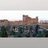 Palmyra6