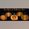 Who or What Would YOU Carve?