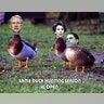 YOUR Take on the 'Lame Duck' Congress