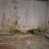 Mold_and_Asbestos