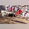 Running_of_the_Bulls_10