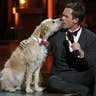 NPH Making Out With a Dog