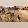 wooly_mammoth_france