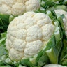 cauliflower_397