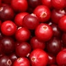 Cranberries