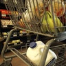 <b>Grocery Carts</b>