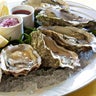 Oysters_650