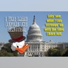 YOUR Take on the 'Lame Duck' Congress