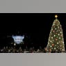 National Christmas Tree
