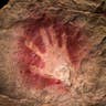 30_000_Year_Old_Handprint