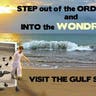 Visit the Gulf Coast