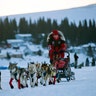 3_13_iditarod