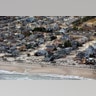Obama_Superstorm_Carr_5_