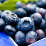 Blueberries