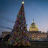 Capitol_Christmas_Treet__erika_garcia_foxnewslatino_com_47