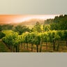 4_napa_valley