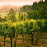 4_napa_valley