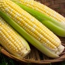 <b>Corn on the Cob</b>