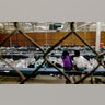 APTOPIX_Immigration_O_Garc
