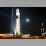 Night Falcon