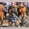 Running_of_the_Bulls_7