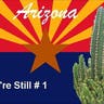 How Can Arizona Fight Back Against Planned Boycotts?