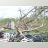 Overturned_Tree_Fox_News