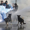 Chile_Protest_1