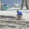 Oil Impact at Pensacola Beach