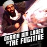 Where is bin Laden?