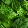 Spinach_Use