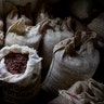 Venezuela_Chocolate_Trade__8_