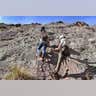 Guests experience mountain climbing without the risks