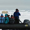 Arctic- Zodiac excursion