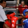 Cuba_Pro_Boxings_Retu_Plan