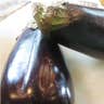 Mexican eggplant alt