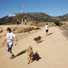 Human Head Found Los Angeles Walkers