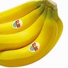 Bananas_Web