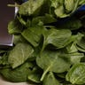 Spinach_web