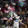 Peru_Cat_Hospice__erika_garcia_foxnewslatino_com_3