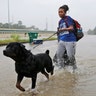Destyn Scales and her dog Dexter wade through flood waters from Tropical Storm Harvey in Beaumont Place, Texas, Monday