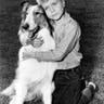 Lassie